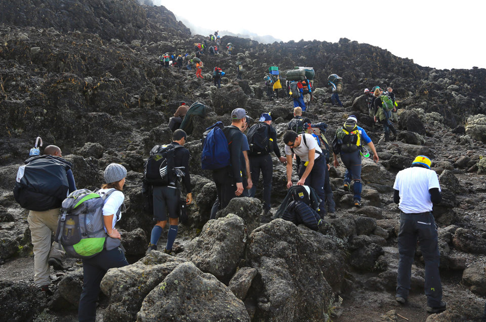 Kilimanjaro - på toppen af Afrikas tag
